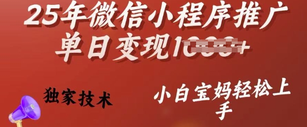 25年微信小程序推广单日变现多张，独家技术，小白宝妈轻松上手【揭秘】-黑盒吧网创