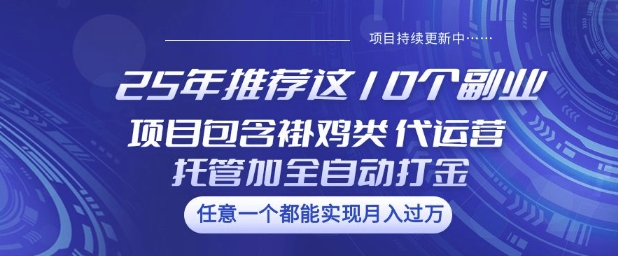25年推荐这10个副业项目包含褂鸡类、代运营托管类、全自动打金类【揭秘】-黑盒吧网创