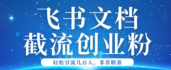 利用飞书文档截流创业粉轻松引流200+-黑盒吧网创