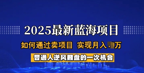 2025蓝海项目，普通人如何通过卖项目，实现月入过W，全过程【揭秘】-黑盒吧网创