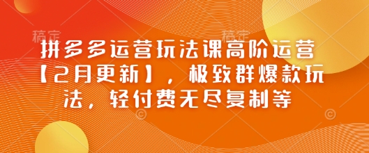 拼多多运营玩法课高阶运营【2月更新】，极致群爆款玩法，轻付费无尽复制等-黑盒吧网创
