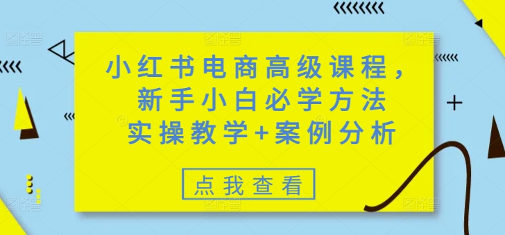 小红书电商高级课程，新手小白必学方法，实操教学+案例分析-黑盒吧网创
